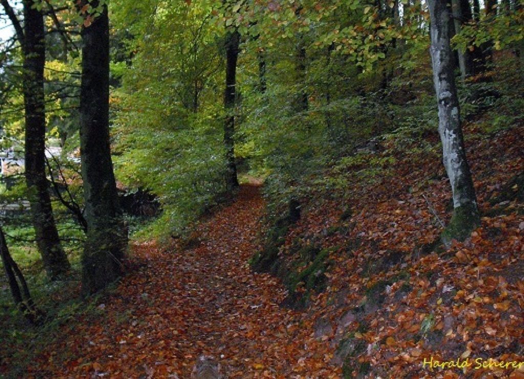 DHW0004.jpg